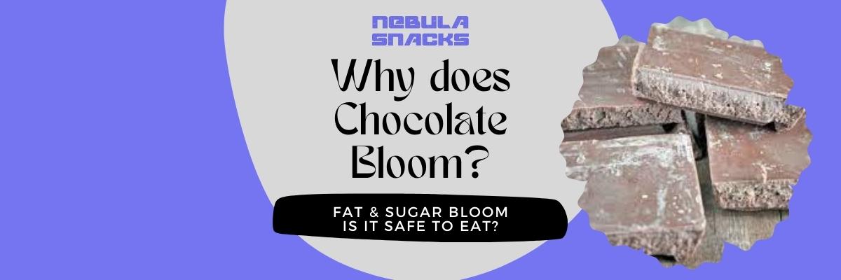 Why Does Chocolate Bloom?